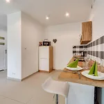 Zielone Katowice Apartment
